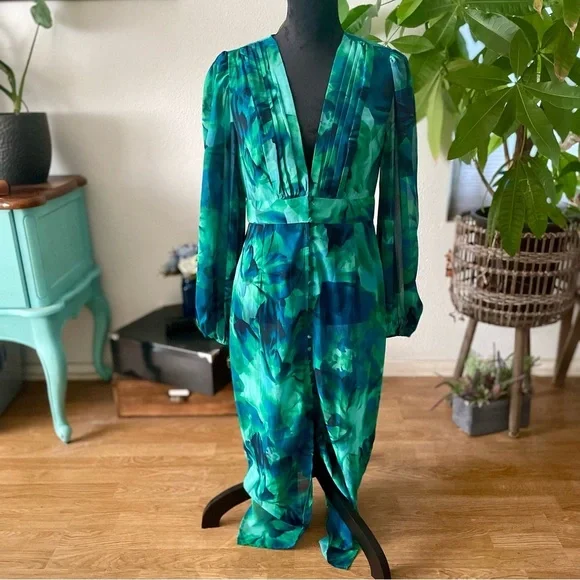 NWT Runaway The Label Calista Deep-V Button Front Long Sleeve Sheer Midi Dress - Picture 8 of 16